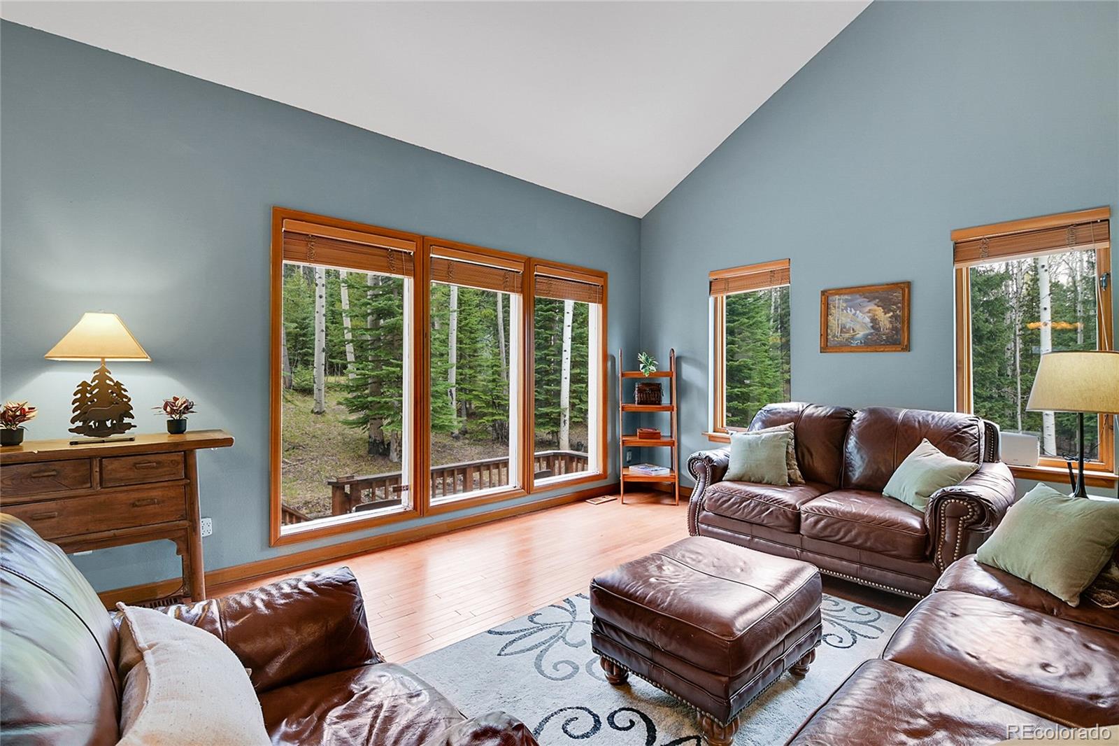MLS Image #18 for 2654  sinton road,evergreen, Colorado