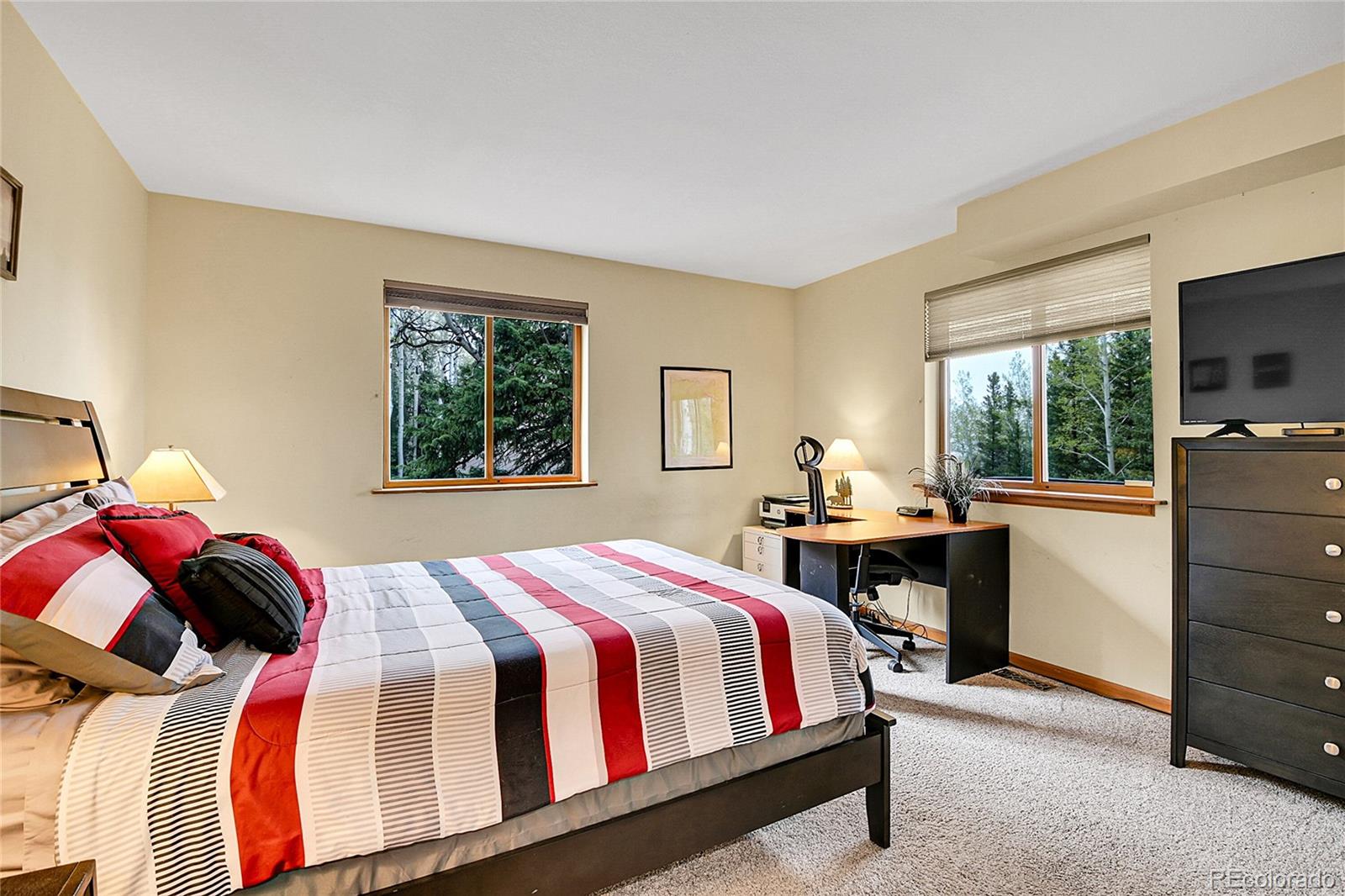 MLS Image #19 for 2654  sinton road,evergreen, Colorado