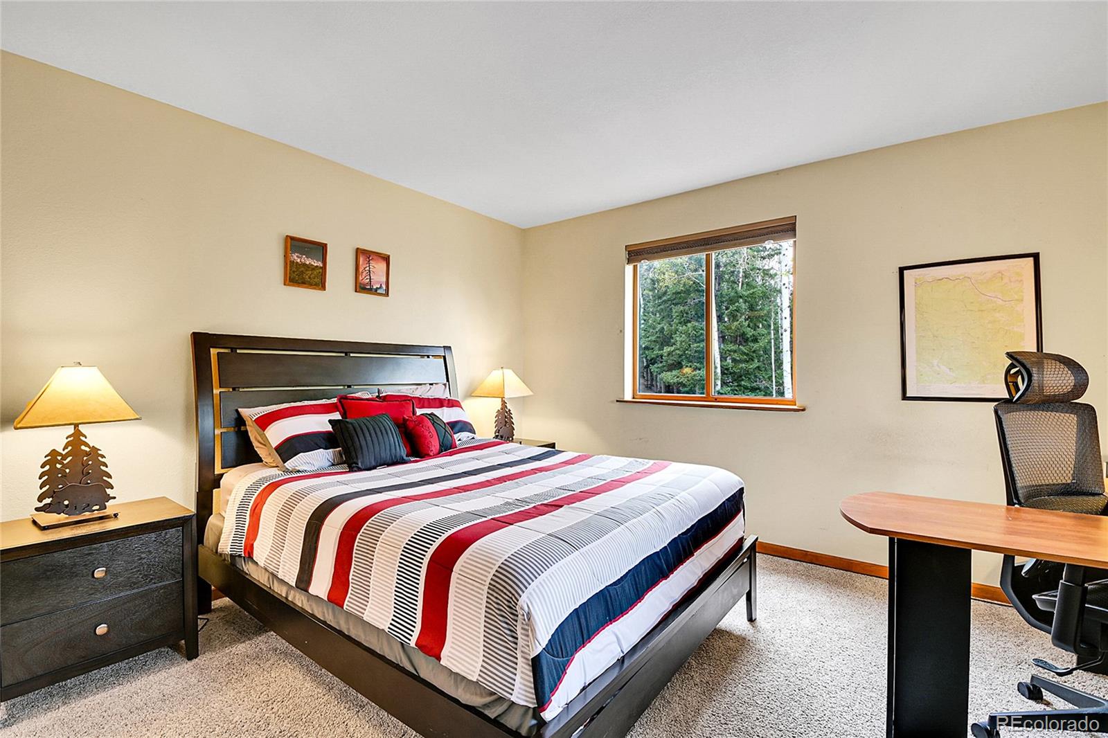 MLS Image #20 for 2654  sinton road,evergreen, Colorado
