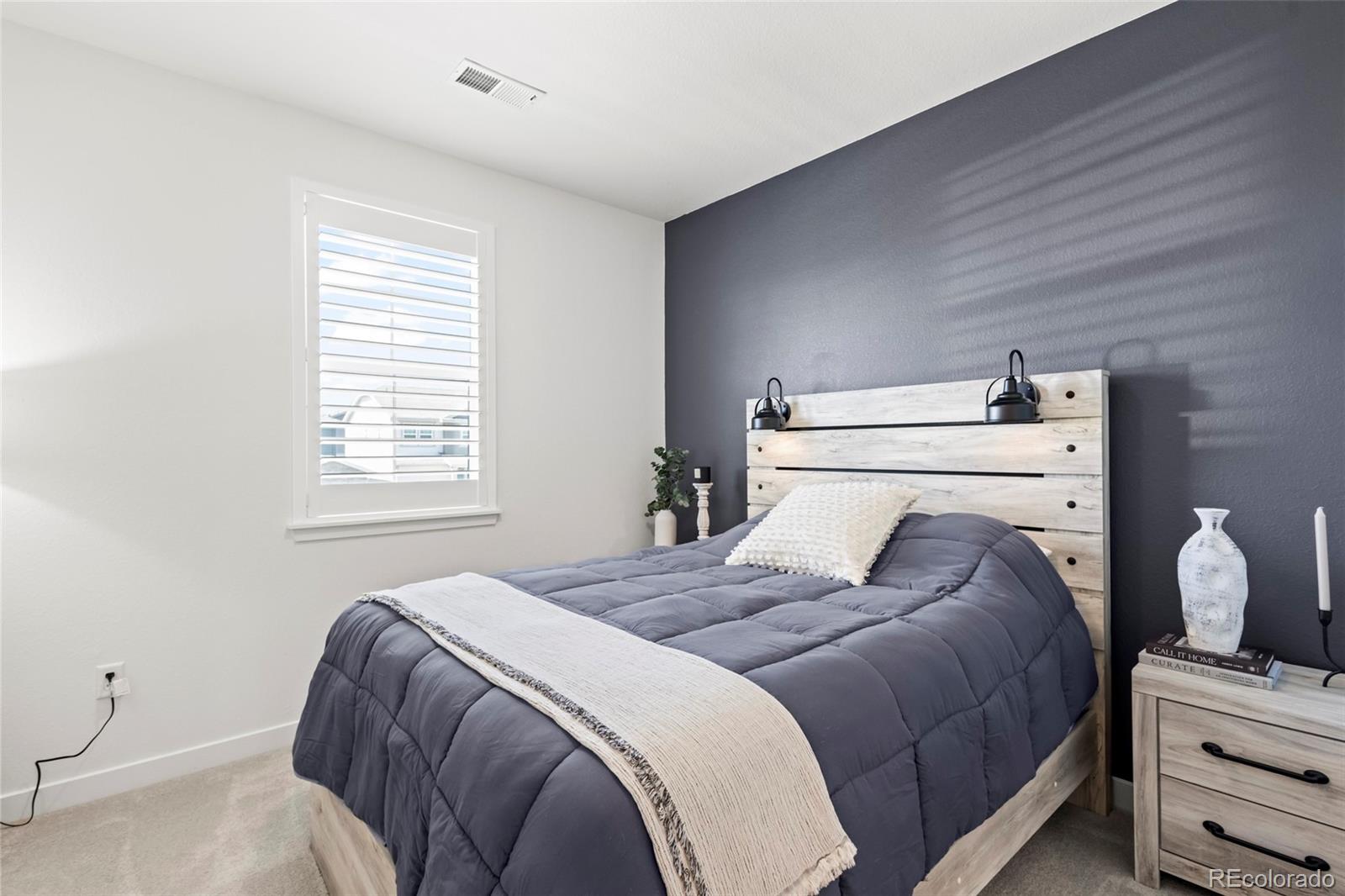 MLS Image #19 for 17121  desert wine lane,parker, Colorado