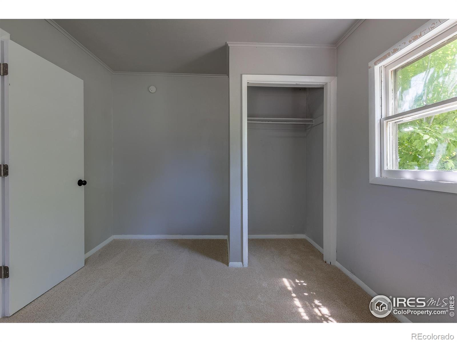MLS Image #24 for 29  marshall place,longmont, Colorado