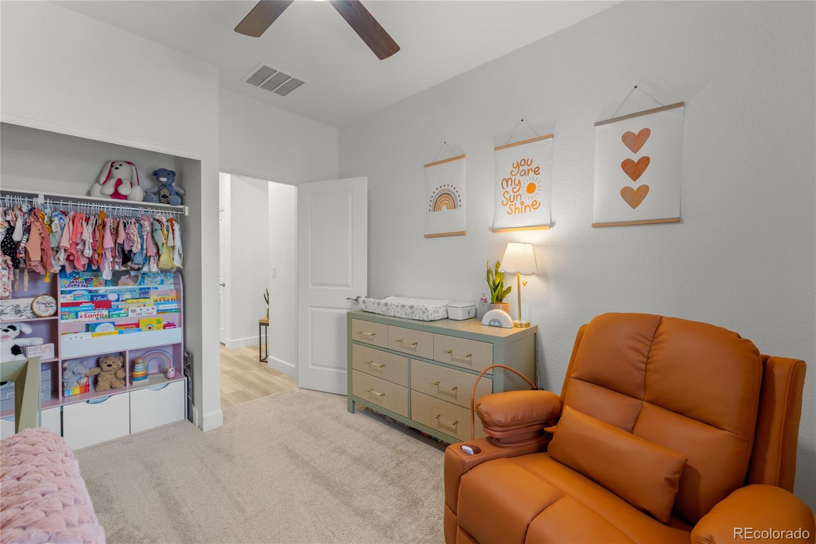 MLS Image #22 for 8132  mt harvard road,littleton, Colorado