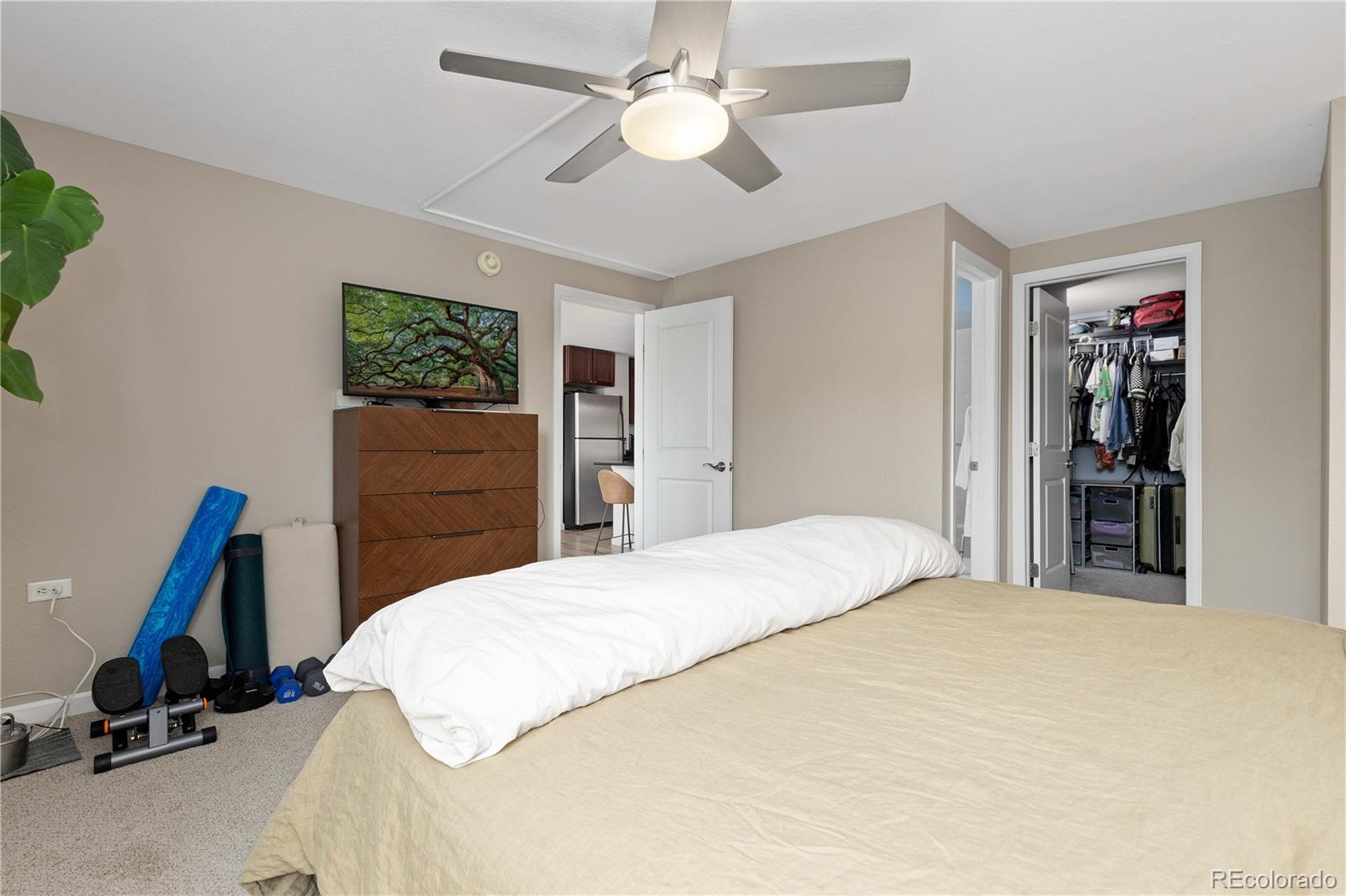 MLS Image #15 for 1150  vine street,denver, Colorado