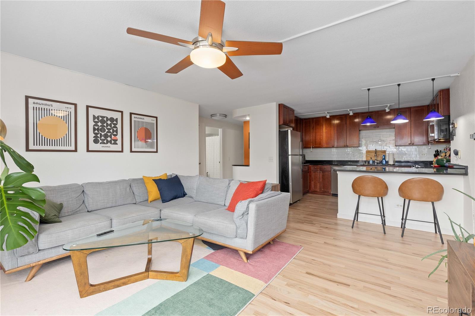 MLS Image #4 for 1150  vine street,denver, Colorado