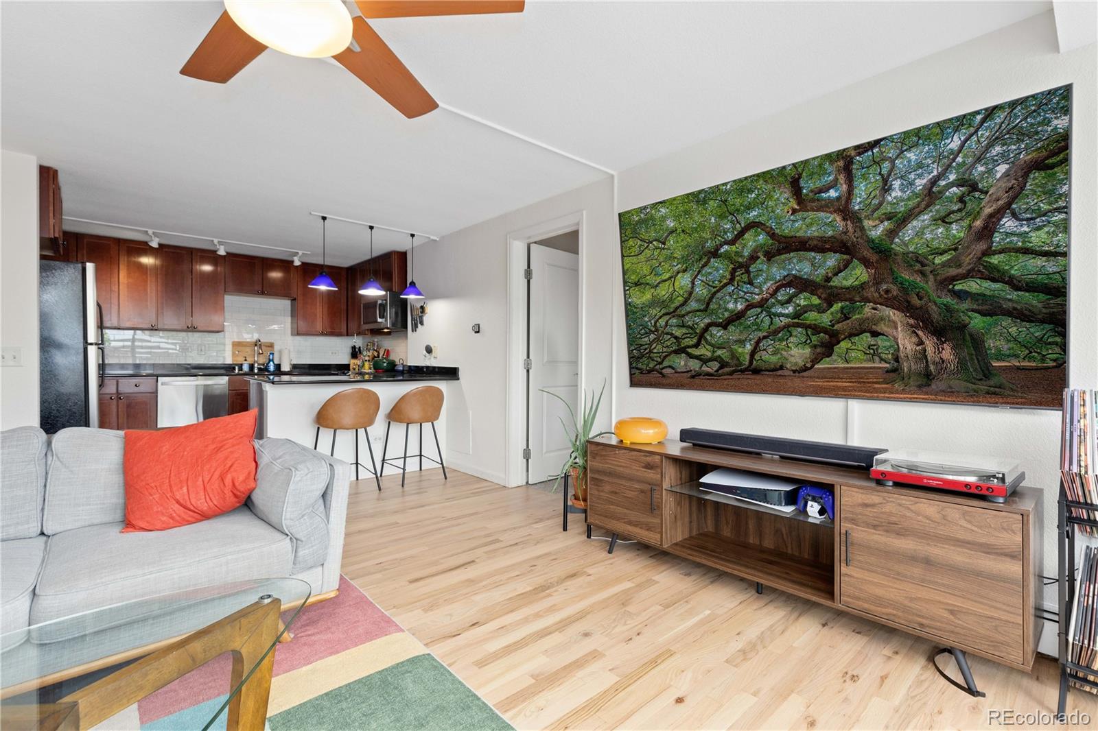 MLS Image #5 for 1150  vine street,denver, Colorado