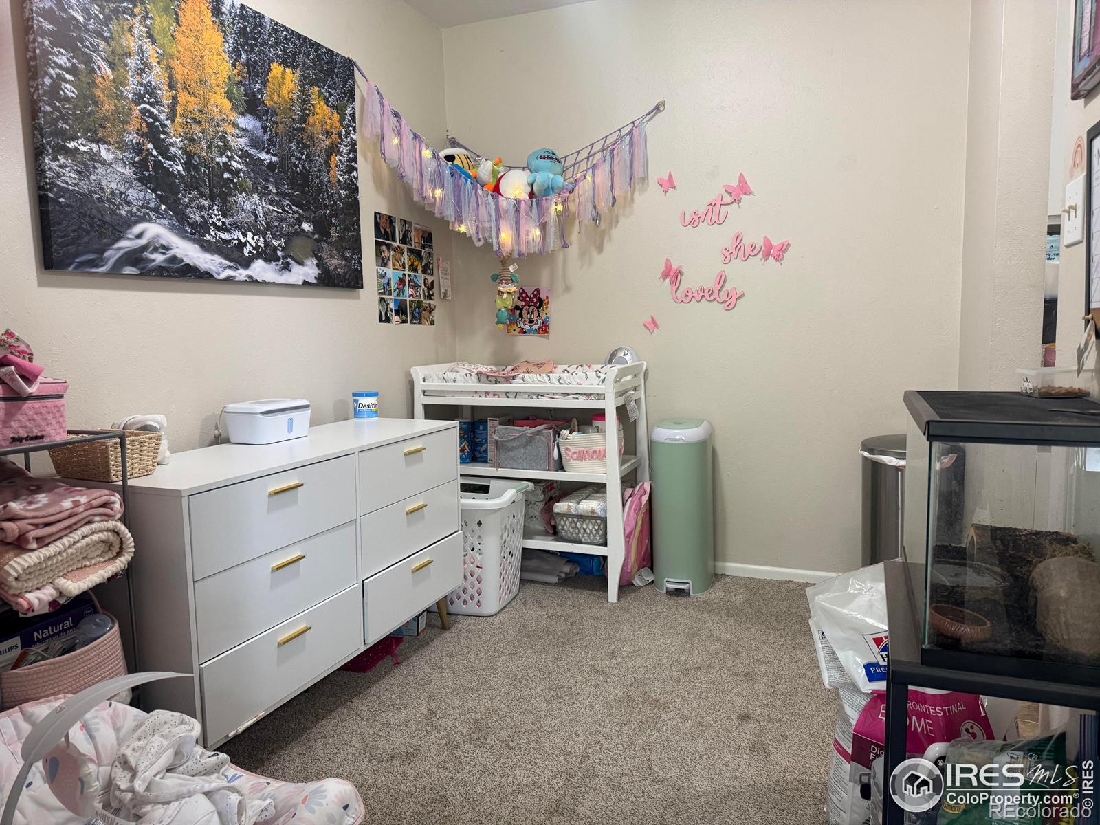 MLS Image #4 for 3623 s sheridan boulevard 11,denver, Colorado