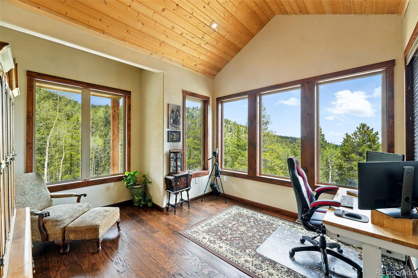 MLS Image #16 for 30041  marys drive,conifer, Colorado