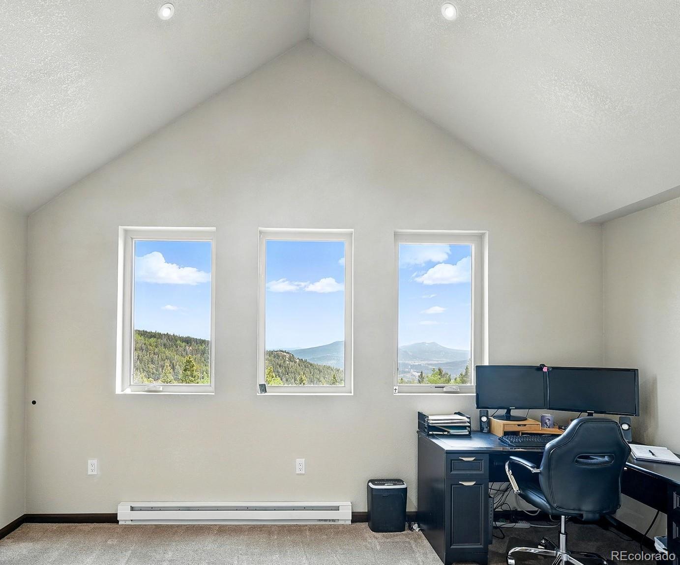 MLS Image #21 for 30041  marys drive,conifer, Colorado
