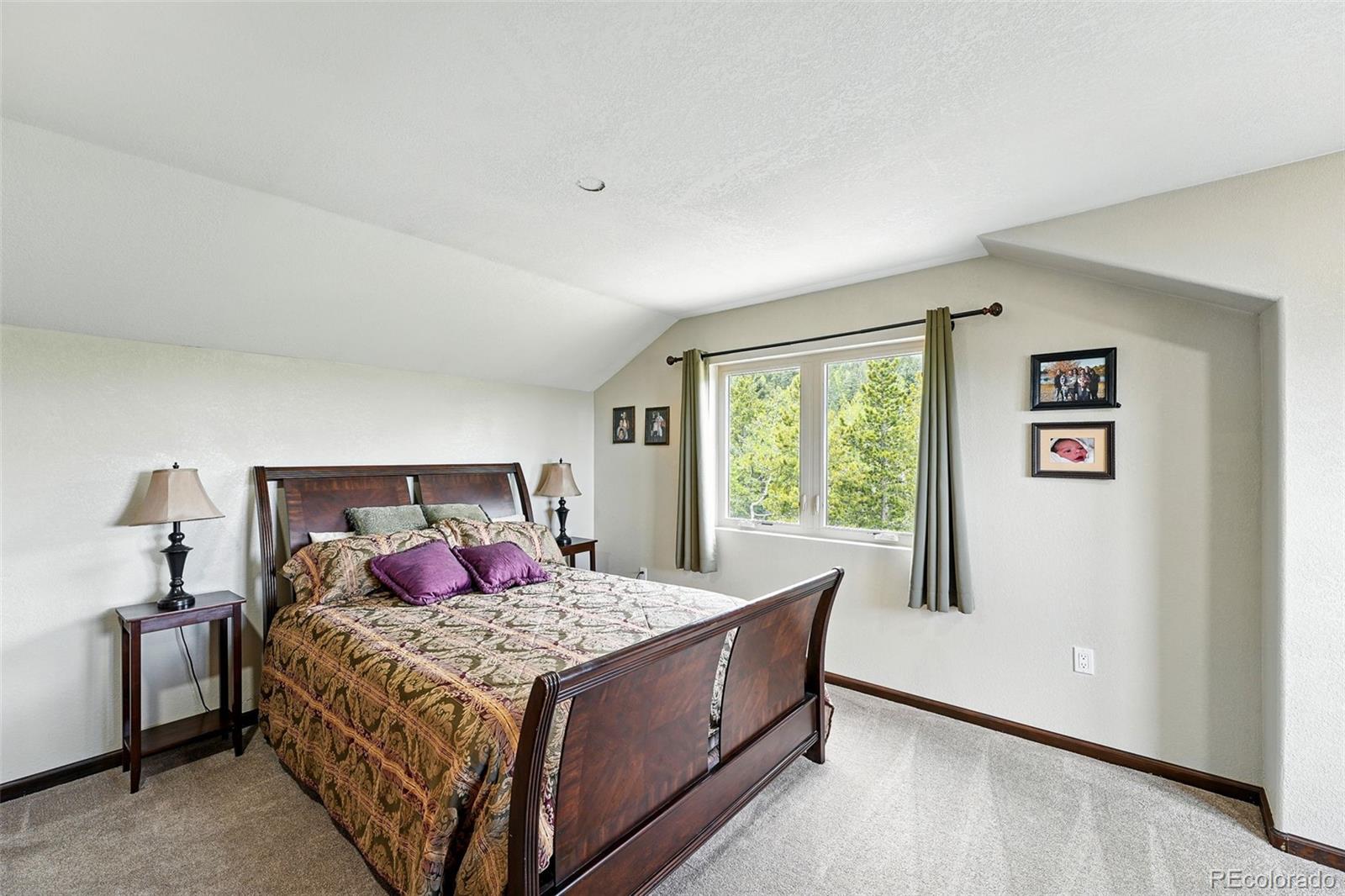 MLS Image #26 for 30041  marys drive,conifer, Colorado