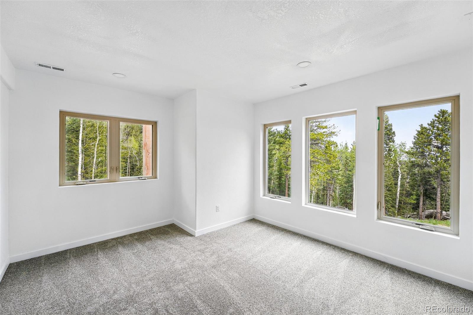 MLS Image #30 for 30041  marys drive,conifer, Colorado