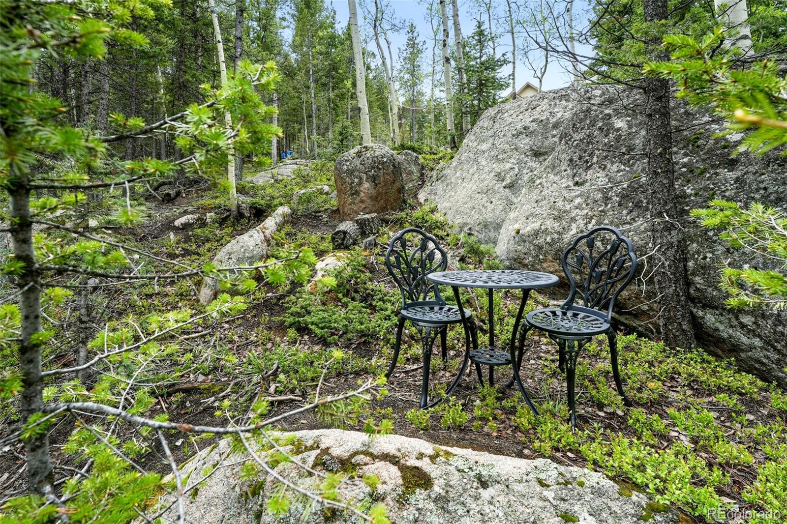 MLS Image #37 for 30041  marys drive,conifer, Colorado