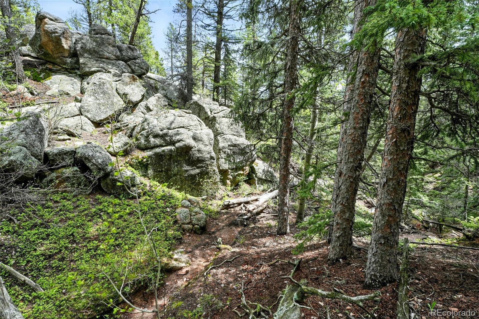 MLS Image #38 for 30041  marys drive,conifer, Colorado