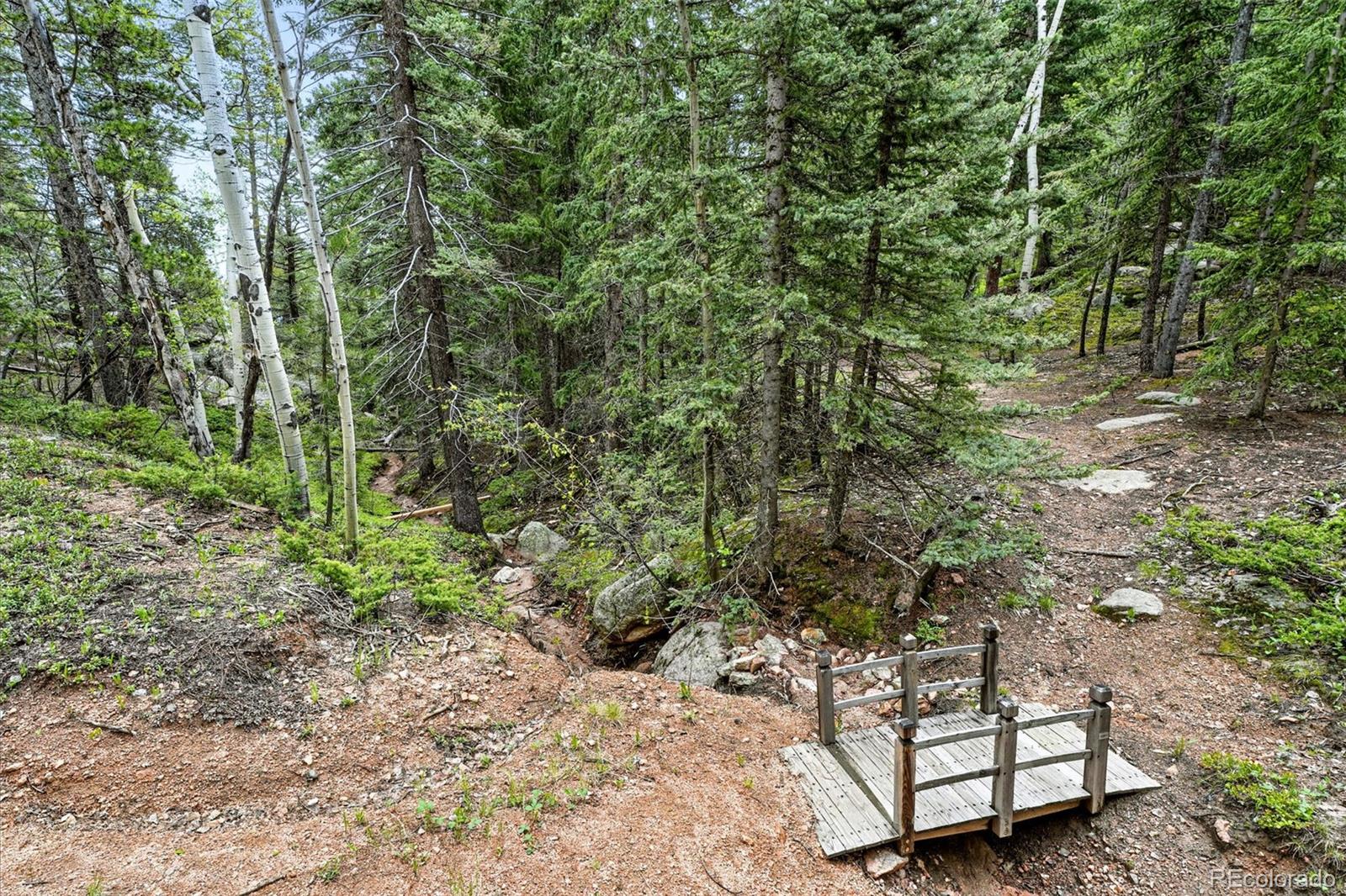 MLS Image #39 for 30041  marys drive,conifer, Colorado