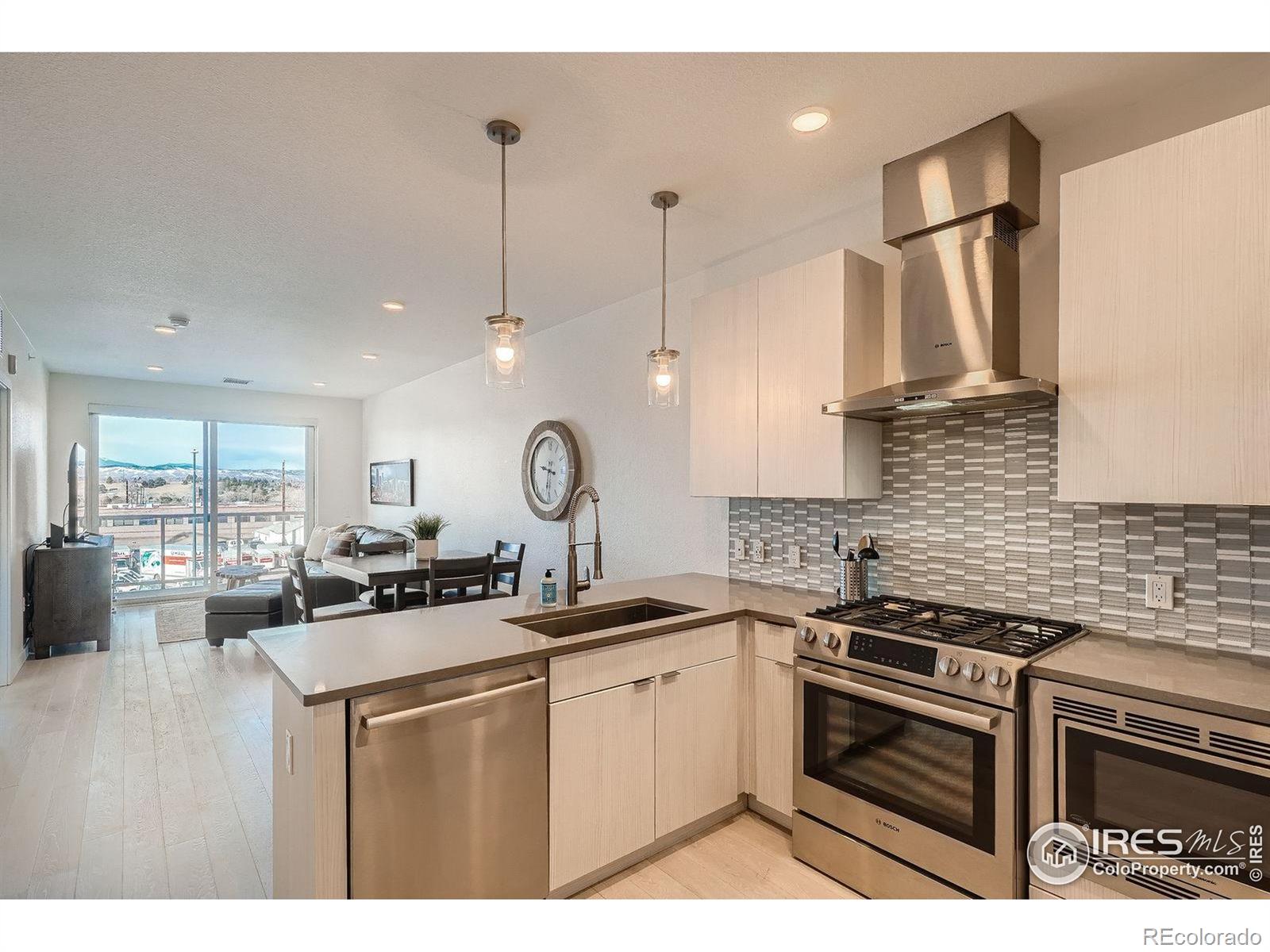 MLS Image #6 for 1616 s broadway ,denver, Colorado