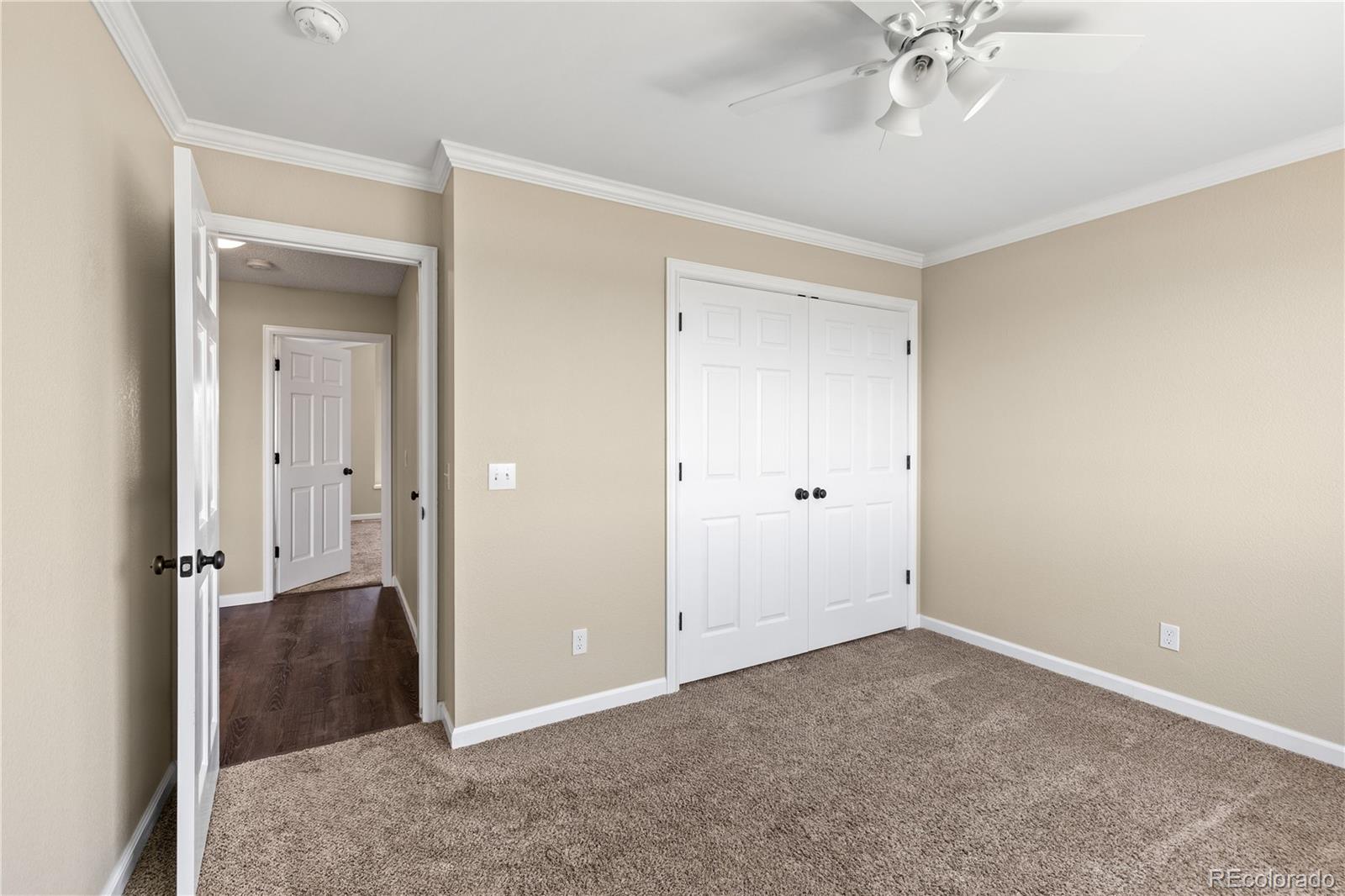 MLS Image #17 for 3968  ashcroft avenue,castle rock, Colorado