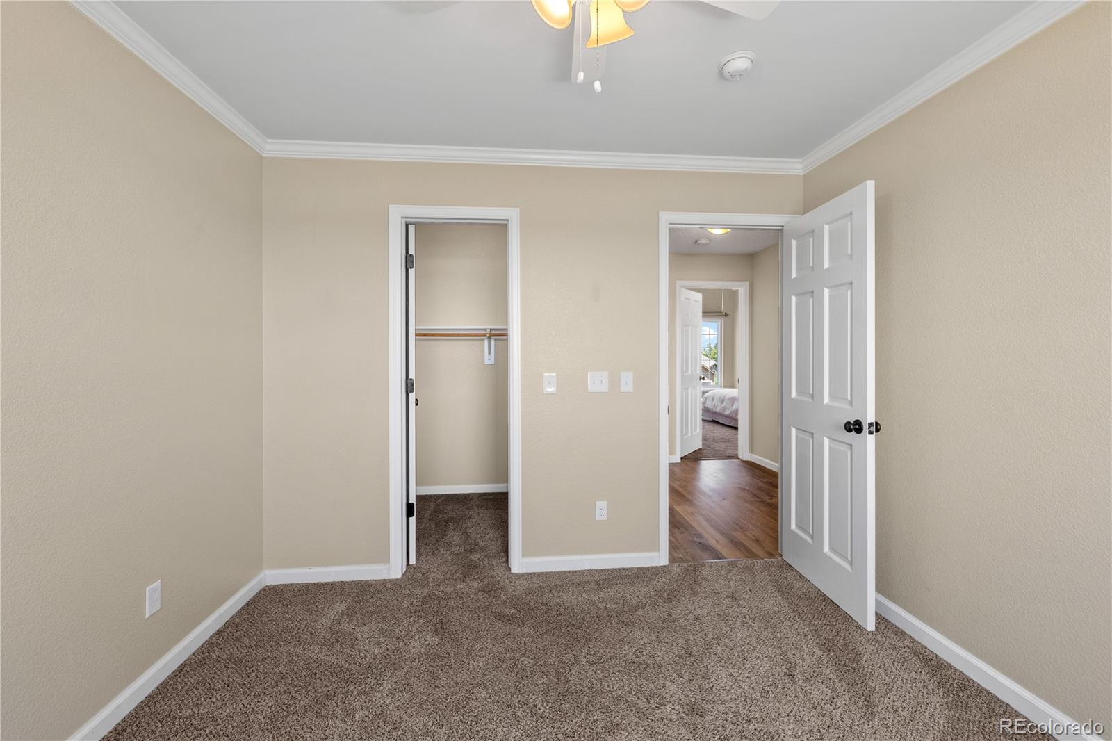 MLS Image #18 for 3968  ashcroft avenue,castle rock, Colorado