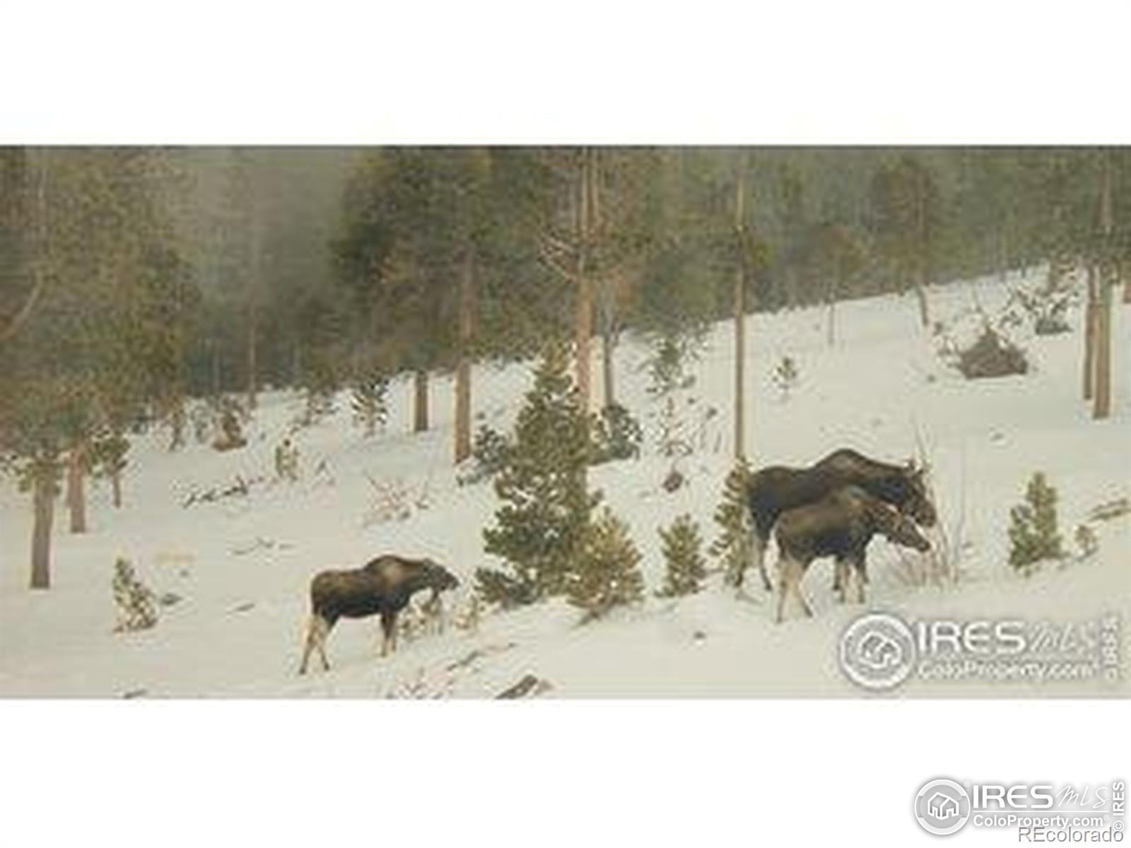 MLS Image #38 for 200  kimwood road,black hawk, Colorado