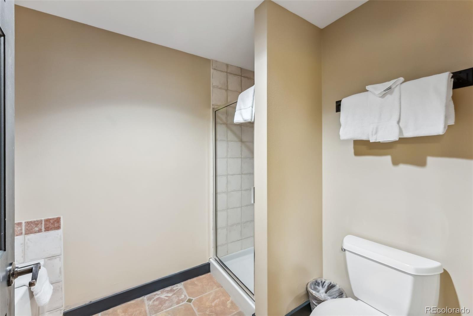 MLS Image #11 for 910  copper road,frisco, Colorado