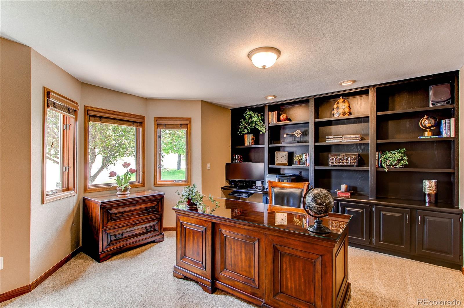 MLS Image #10 for 8682 n sundown trail,parker, Colorado