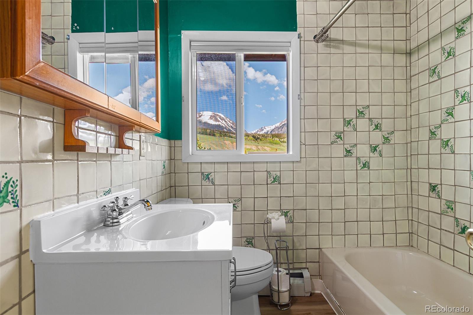 MLS Image #15 for 301  lagoon lane ,silverthorne, Colorado