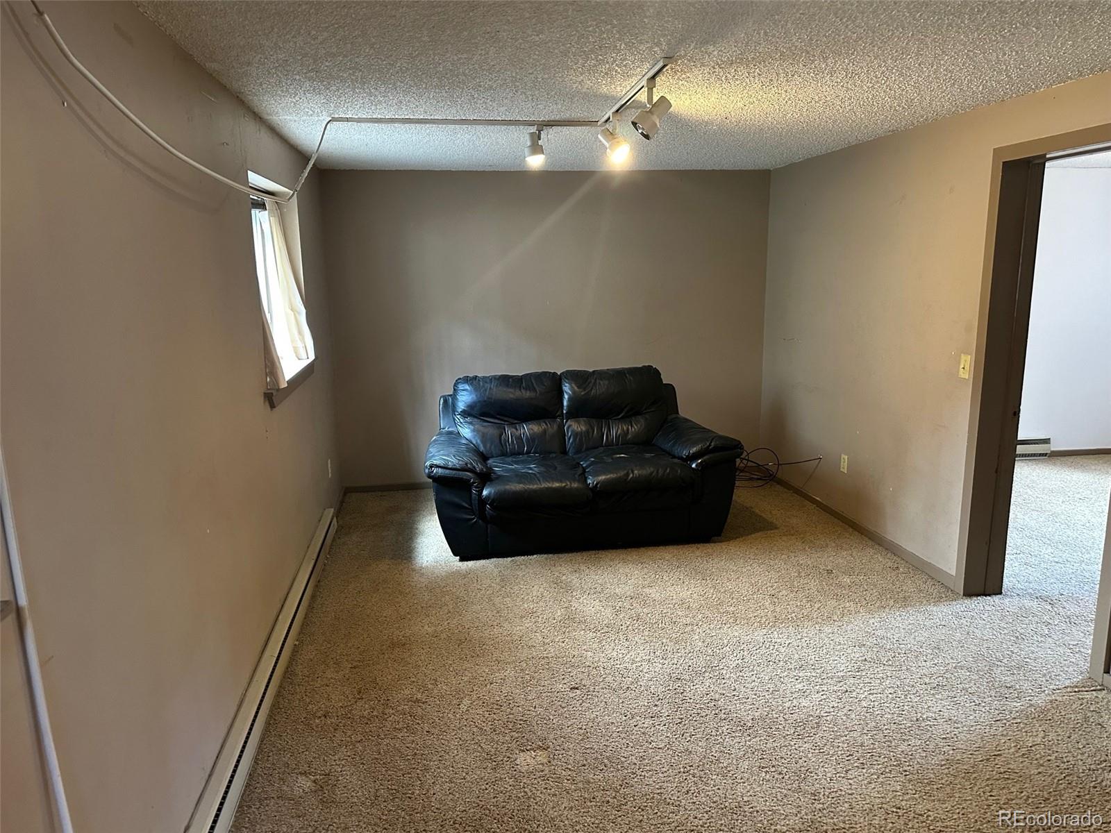 MLS Image #9 for 408  2nd avenue,frisco, Colorado