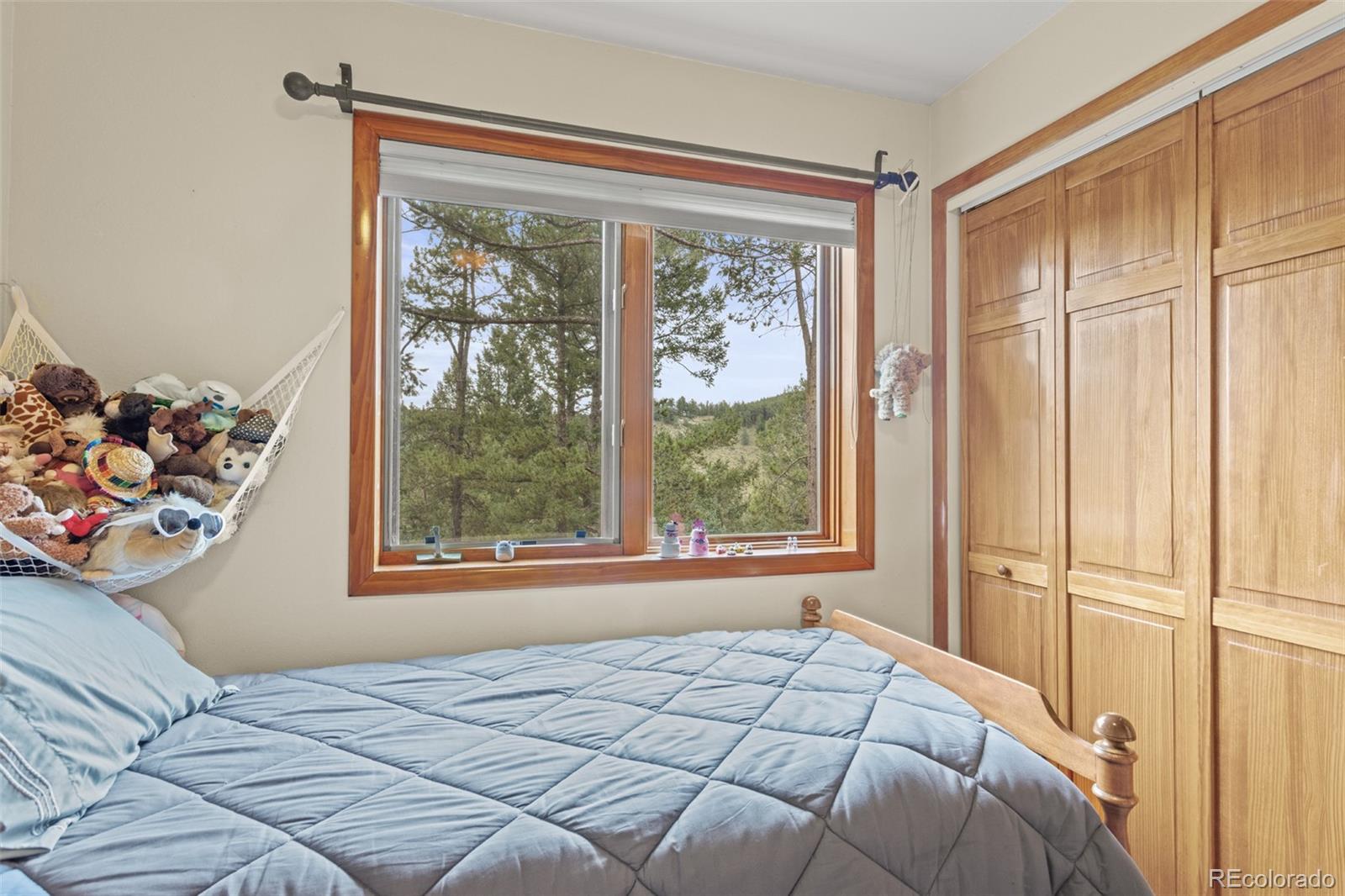 MLS Image #22 for 12191  tecumseh trail,conifer, Colorado