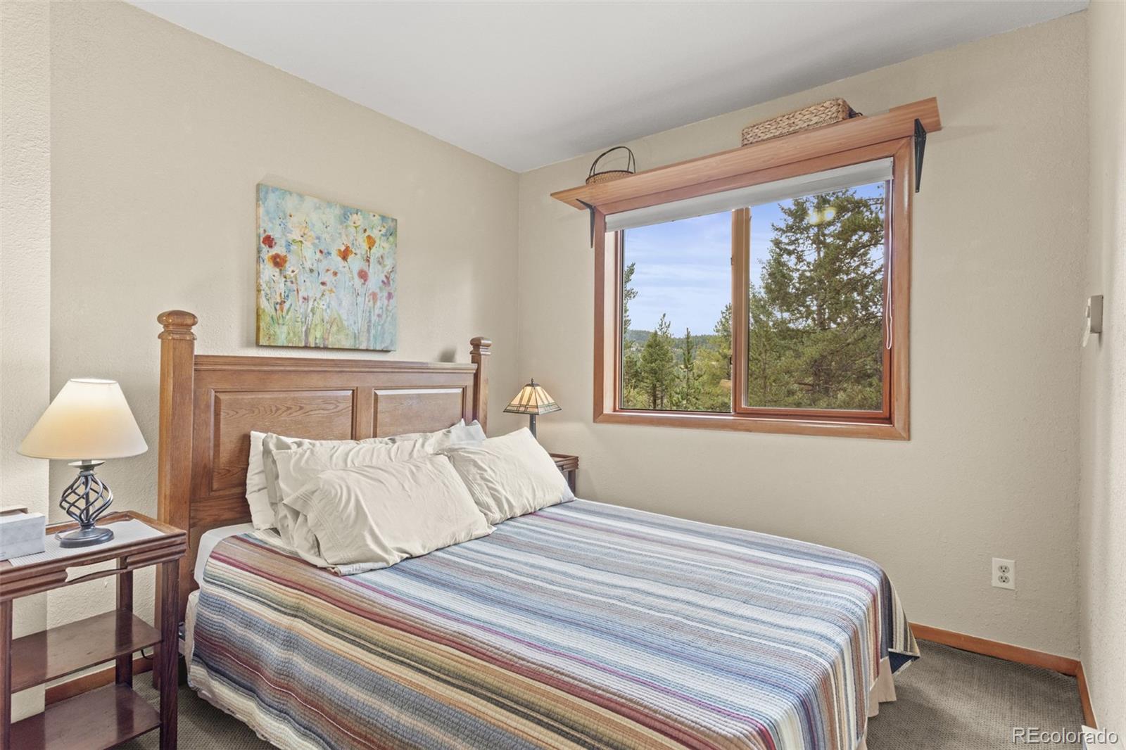 MLS Image #28 for 12191  tecumseh trail,conifer, Colorado