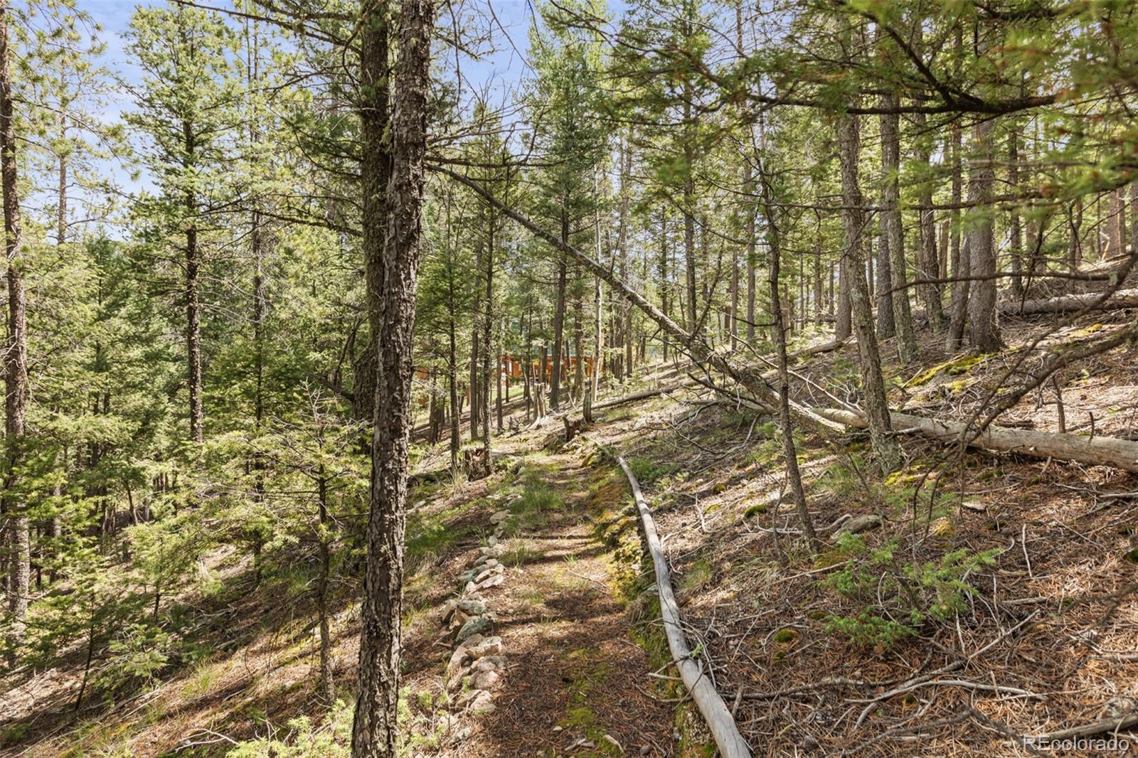 MLS Image #42 for 12191  tecumseh trail,conifer, Colorado