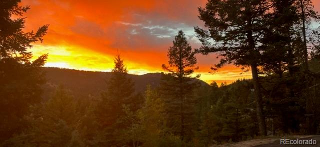 MLS Image #47 for 12191  tecumseh trail,conifer, Colorado