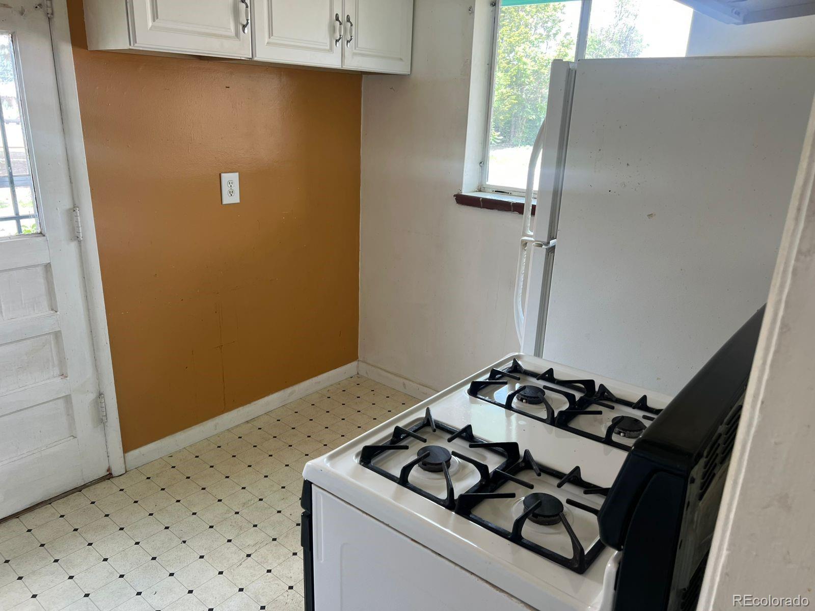 MLS Image #5 for 3531  forest street,denver, Colorado