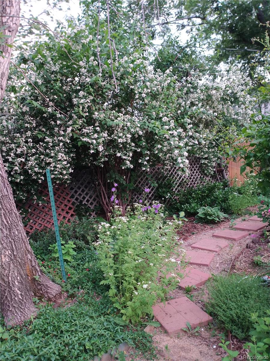 MLS Image #10 for 1080  ithaca drive,boulder, Colorado