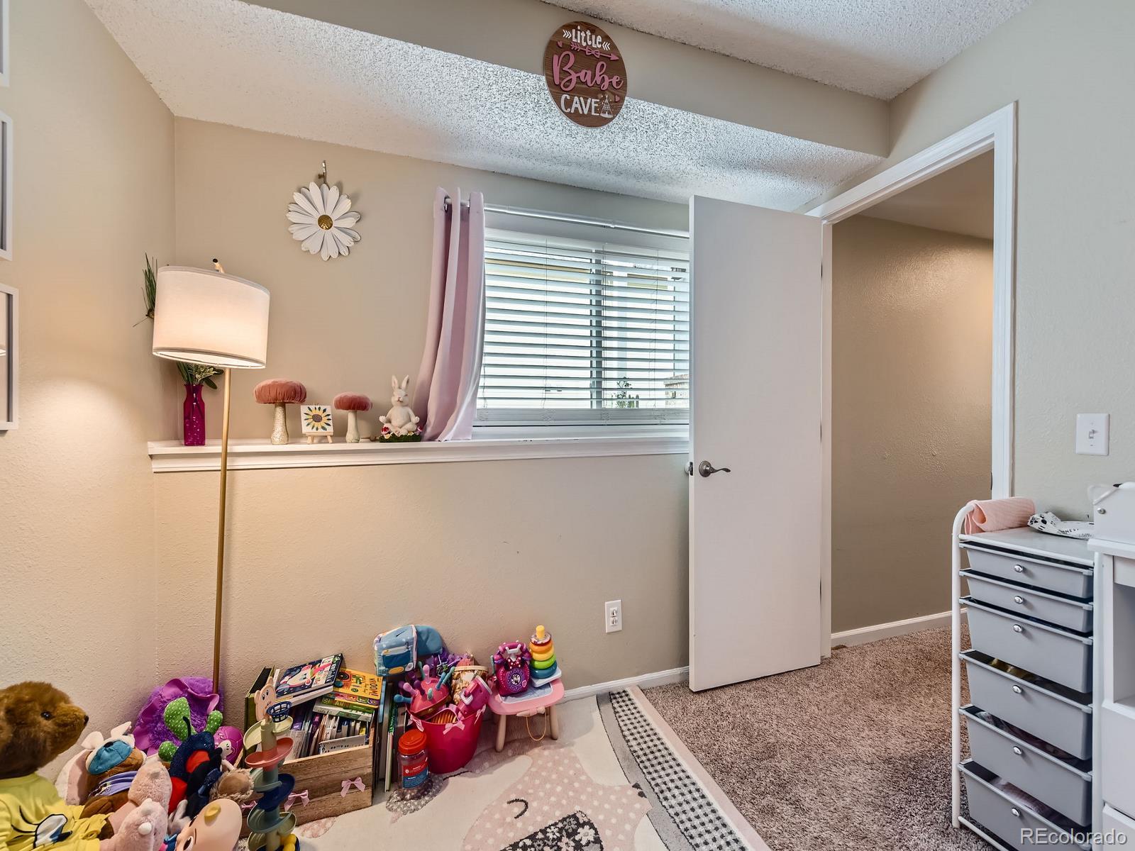 MLS Image #16 for 745  stowe street,highlands ranch, Colorado