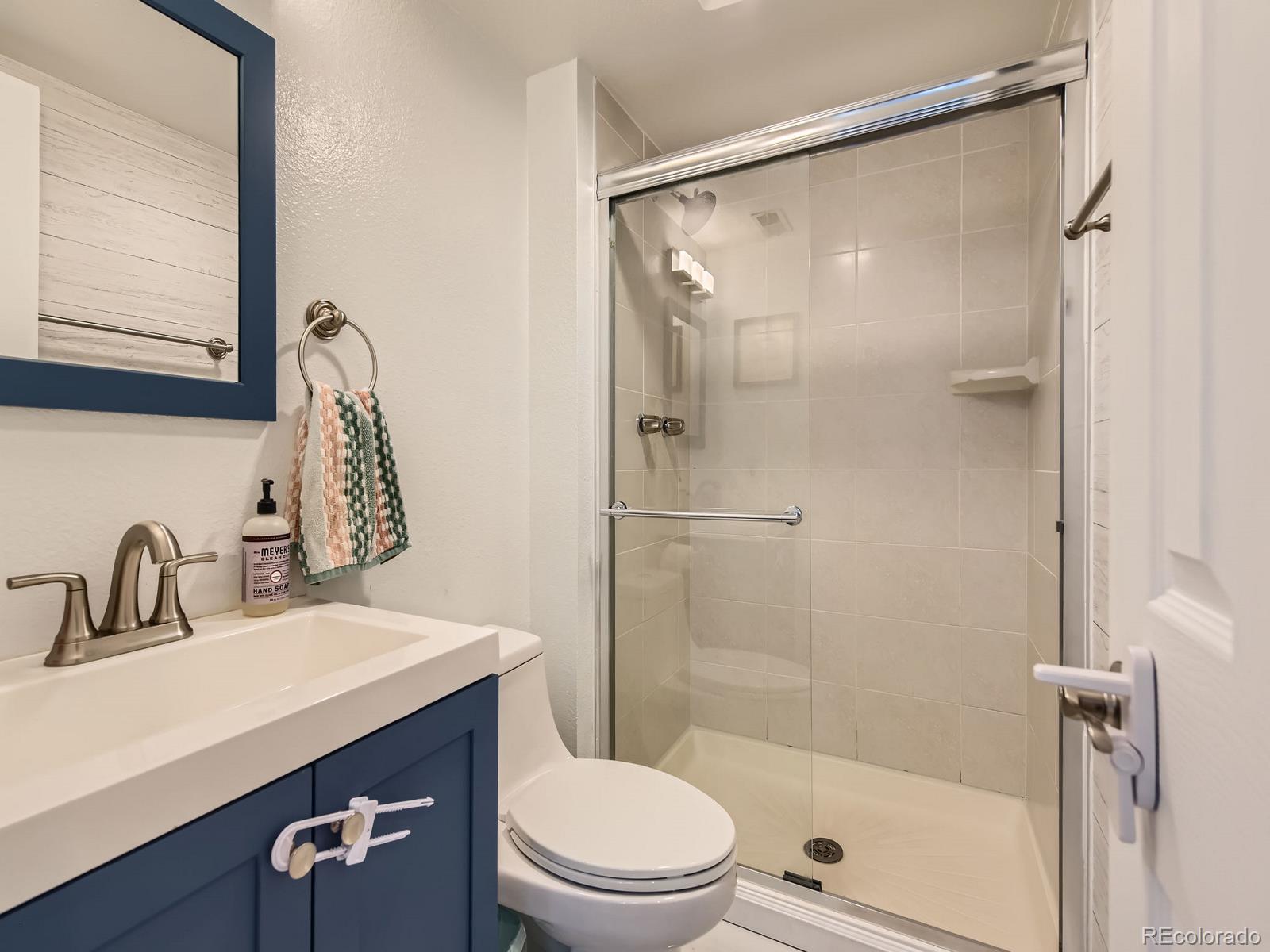 MLS Image #17 for 745  stowe street,highlands ranch, Colorado