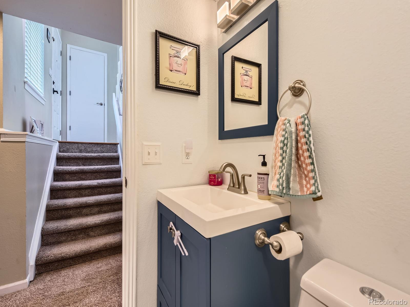 MLS Image #18 for 745  stowe street,highlands ranch, Colorado