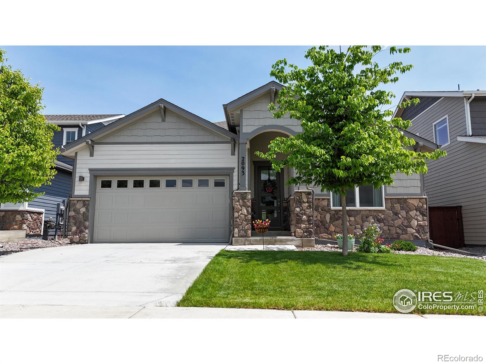 MLS Image #2 for 2093  gather court,windsor, Colorado