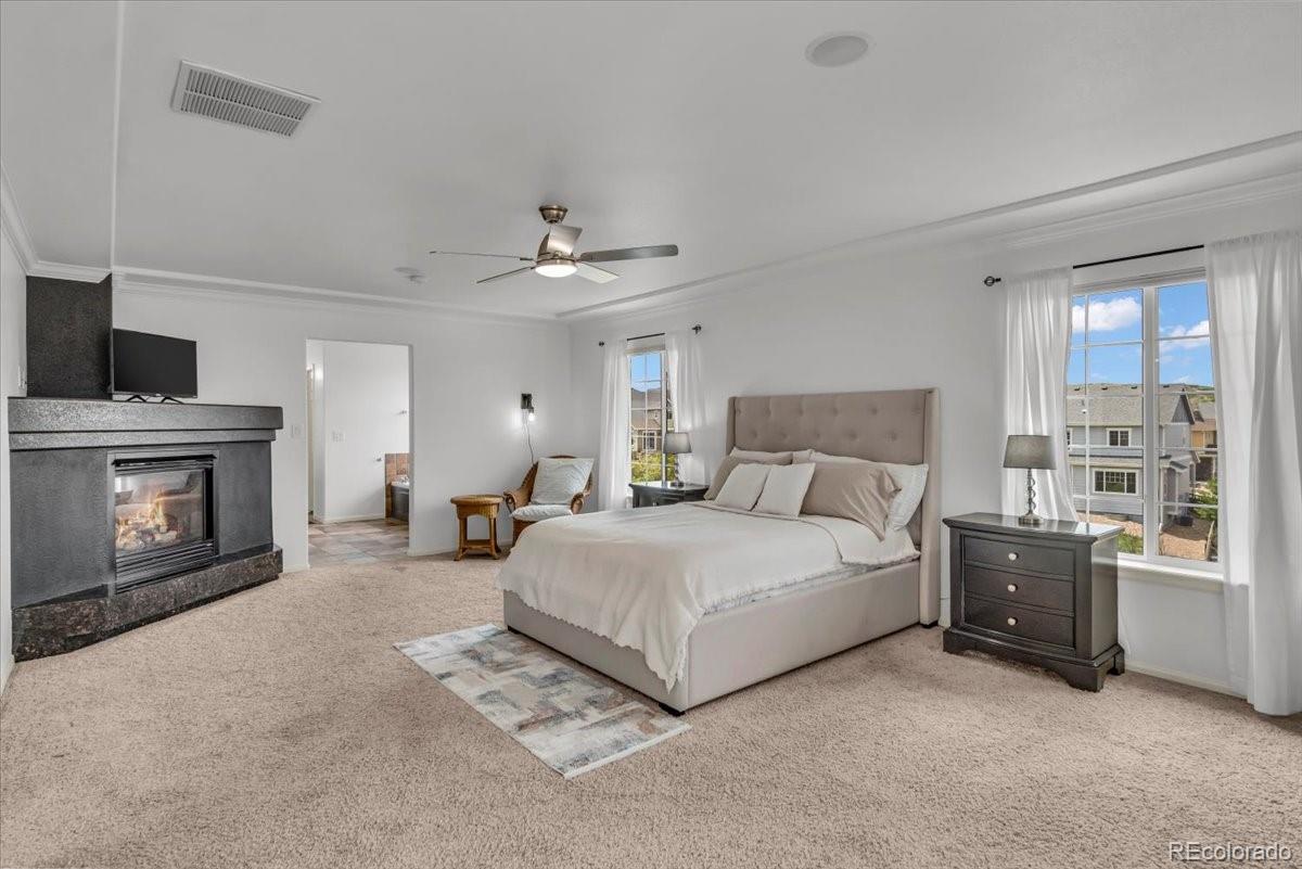 MLS Image #21 for 1385  candleglow street,castle rock, Colorado