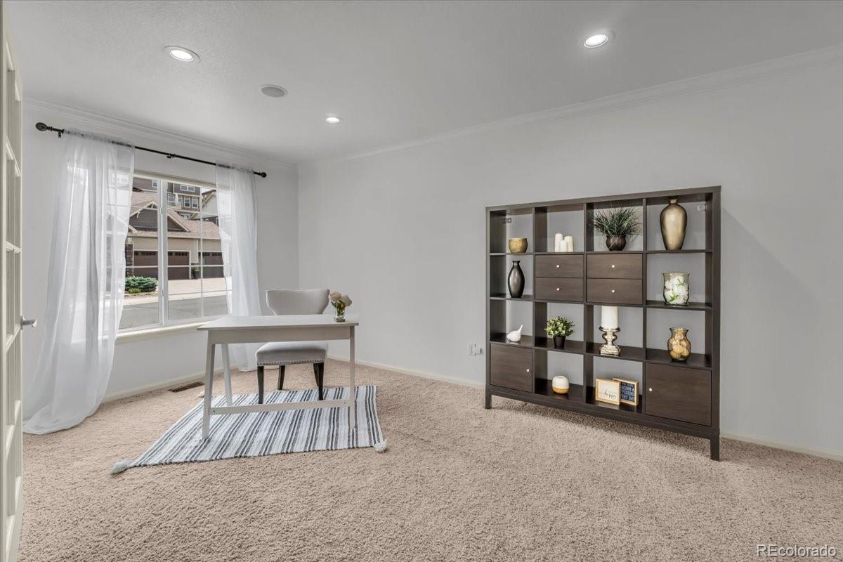 MLS Image #5 for 1385  candleglow street,castle rock, Colorado