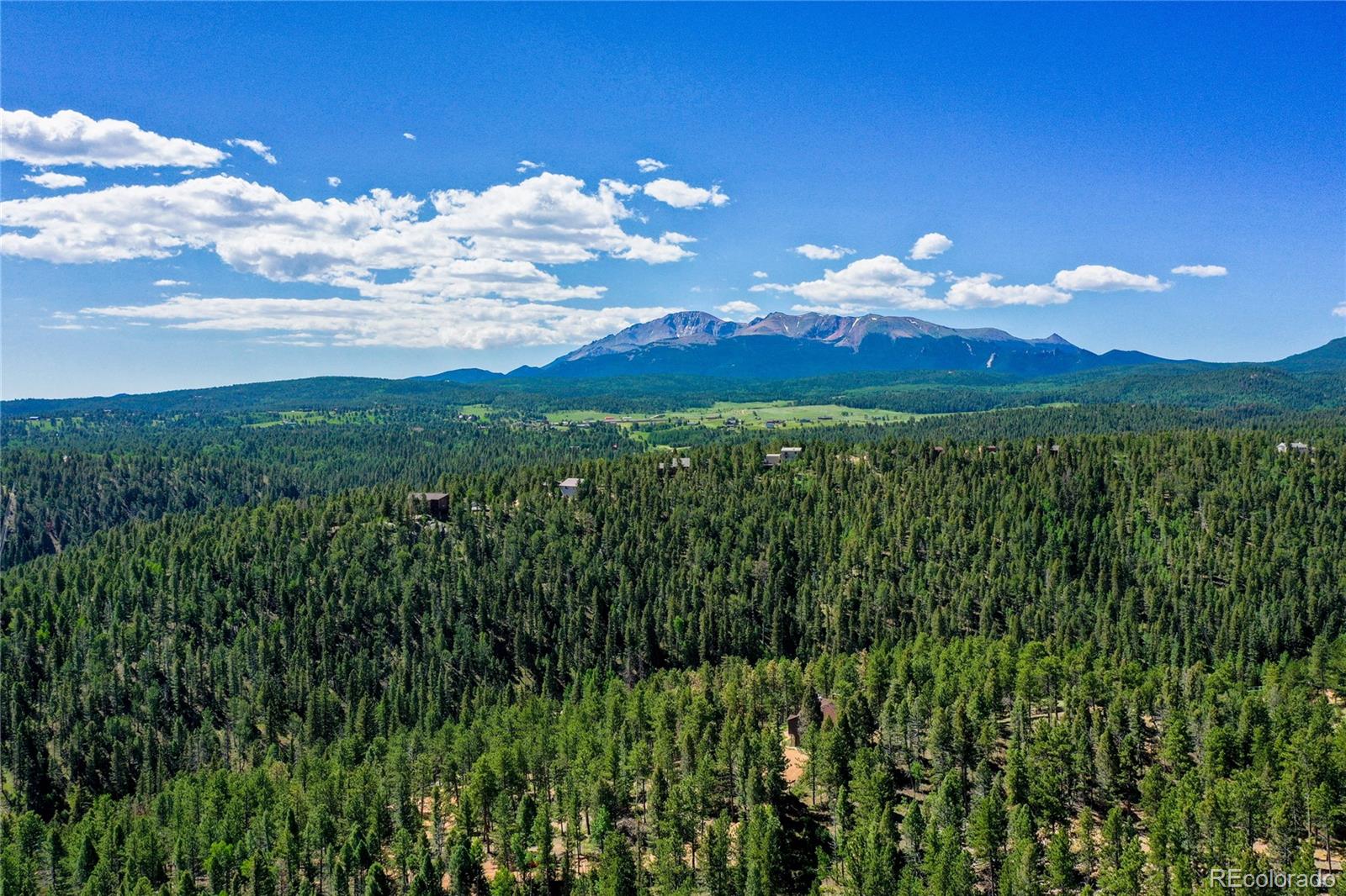 MLS Image #12 for 4041  trout creed rd ,woodland park, Colorado