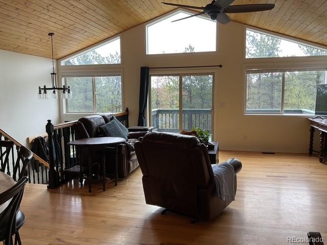 MLS Image #24 for 4041  trout creed rd ,woodland park, Colorado