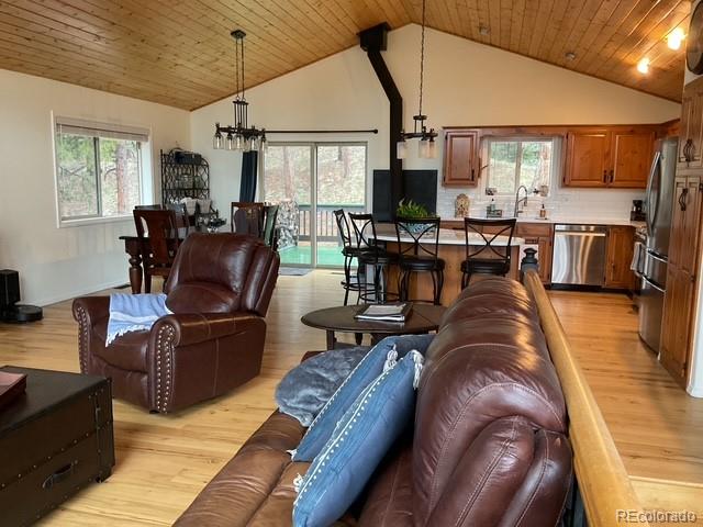 MLS Image #25 for 4041  trout creed rd ,woodland park, Colorado
