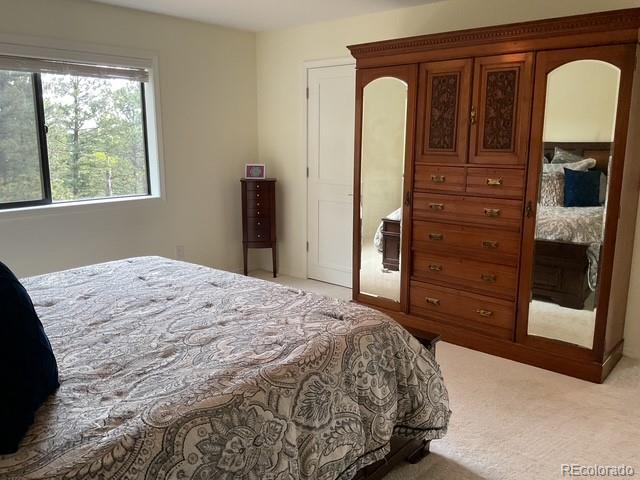MLS Image #35 for 4041  trout creed rd ,woodland park, Colorado