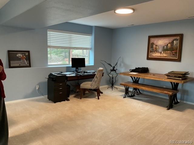 MLS Image #42 for 4041  trout creed rd ,woodland park, Colorado