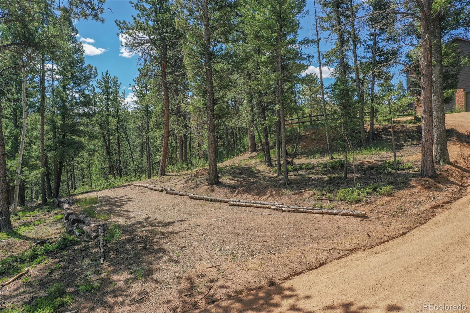 MLS Image #5 for 4041  trout creed rd ,woodland park, Colorado