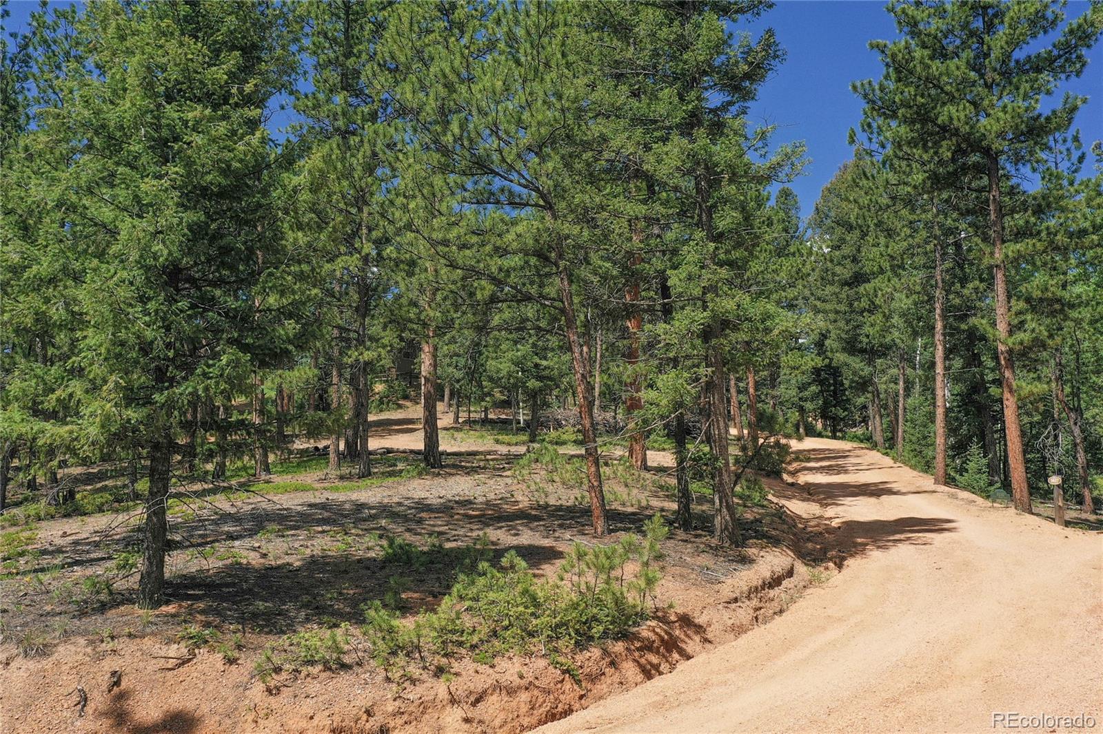 MLS Image #7 for 4041  trout creed rd ,woodland park, Colorado