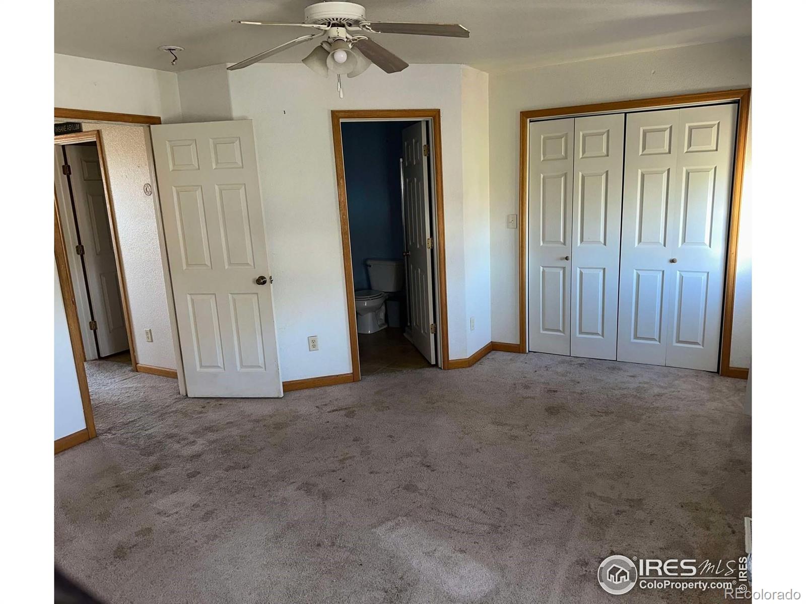 MLS Image #10 for 309  ash court,evans, Colorado