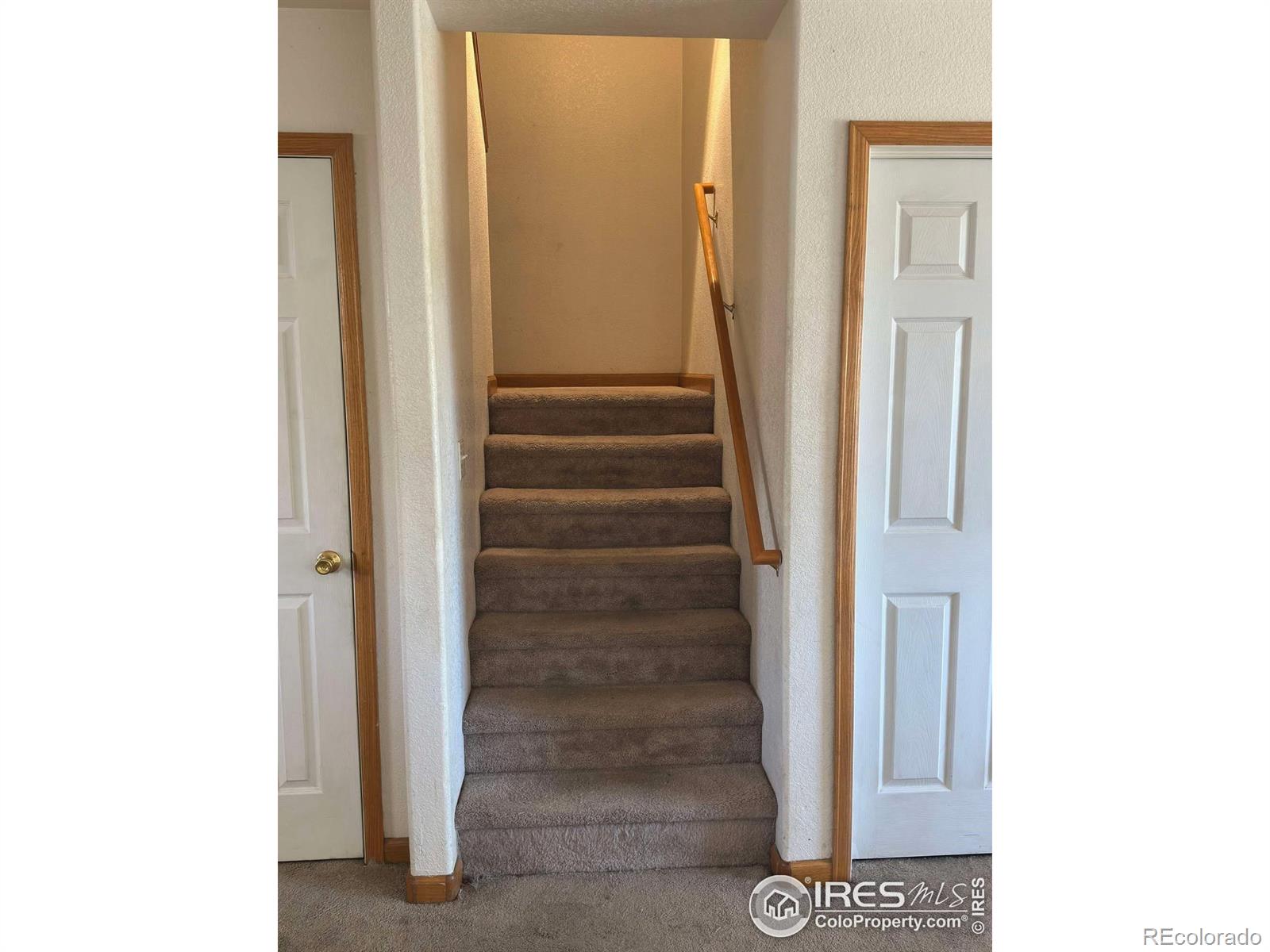 MLS Image #6 for 309  ash court,evans, Colorado