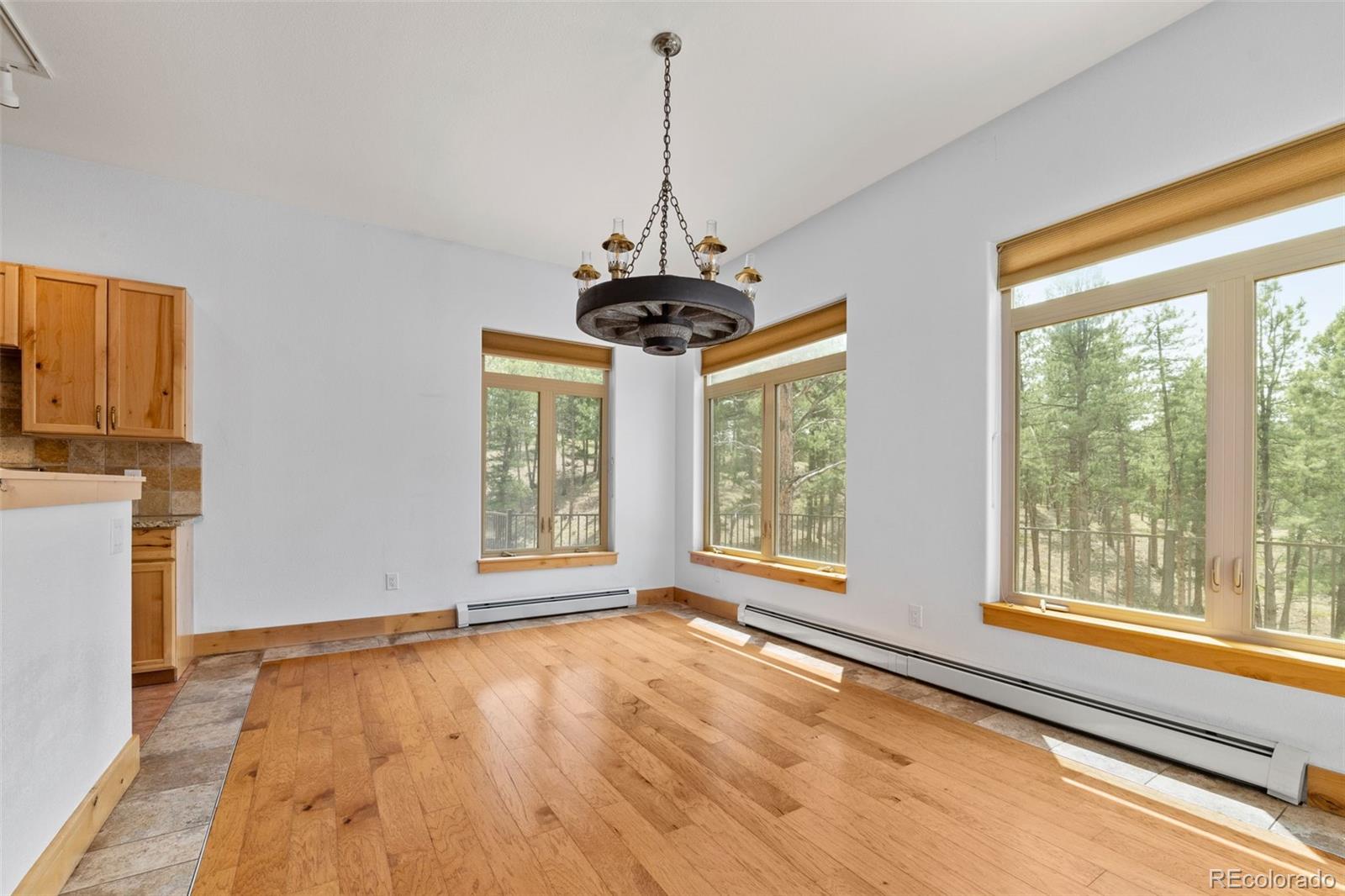 MLS Image #11 for 510  hill drive,sedalia, Colorado
