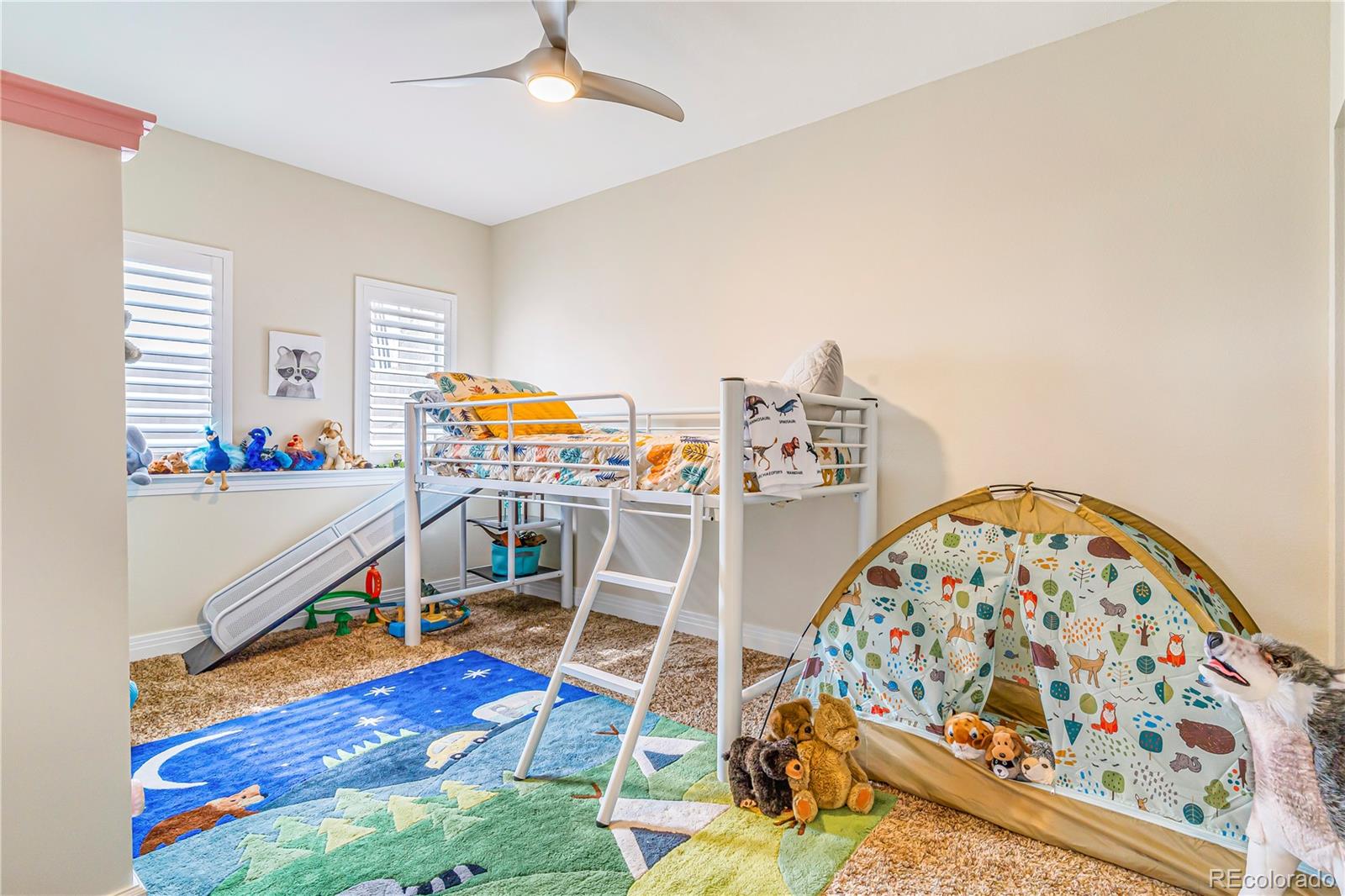 MLS Image #35 for 17635  silver fox court,mead, Colorado