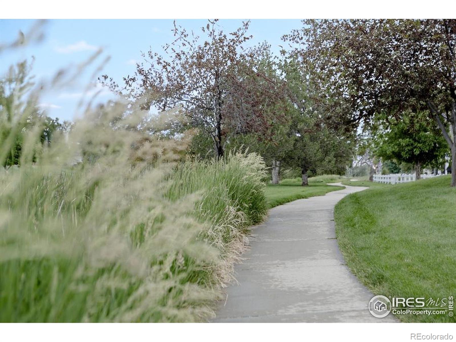 MLS Image #21 for 104  beacon way,windsor, Colorado