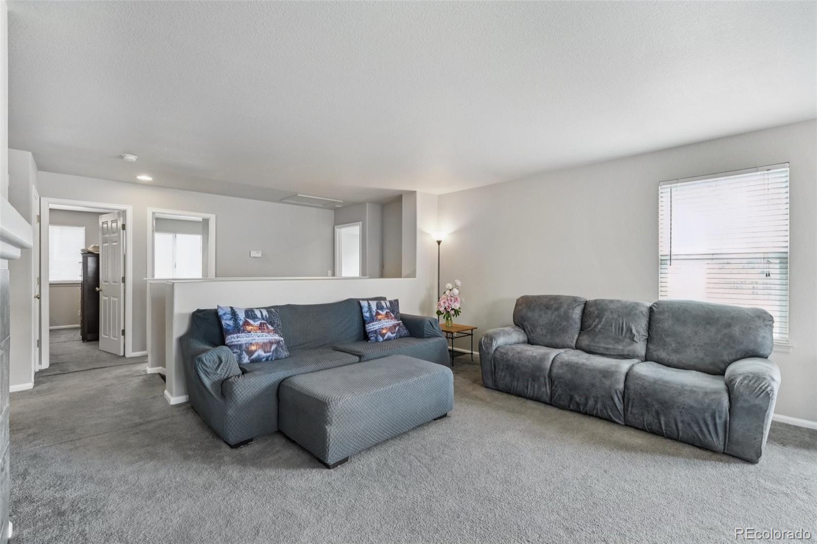 MLS Image #6 for 13802  jasmine street,thornton, Colorado